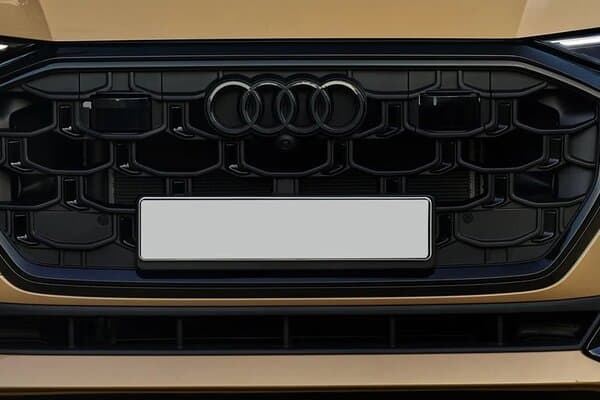 Audi Q8 2024 Grille