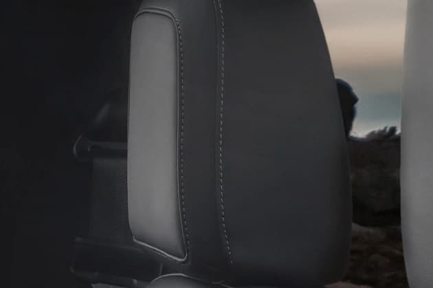 Seat Headrest