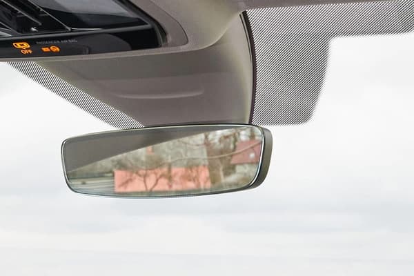 Rear View Mirror Courtesy Lamps